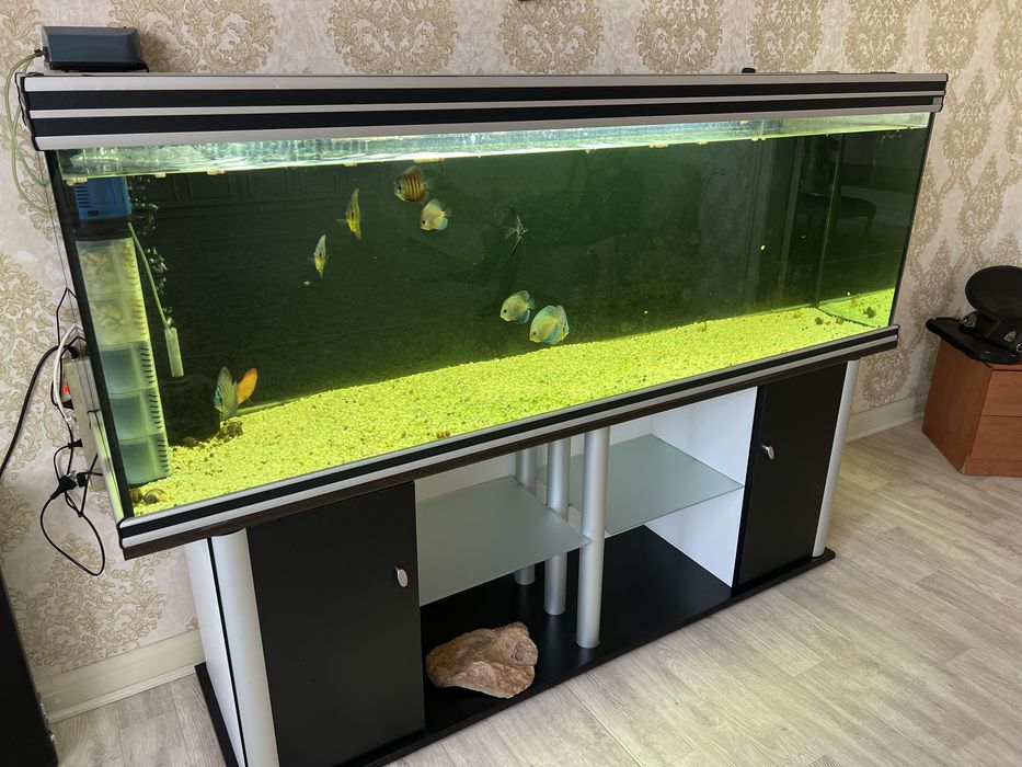 Продам аквариумы