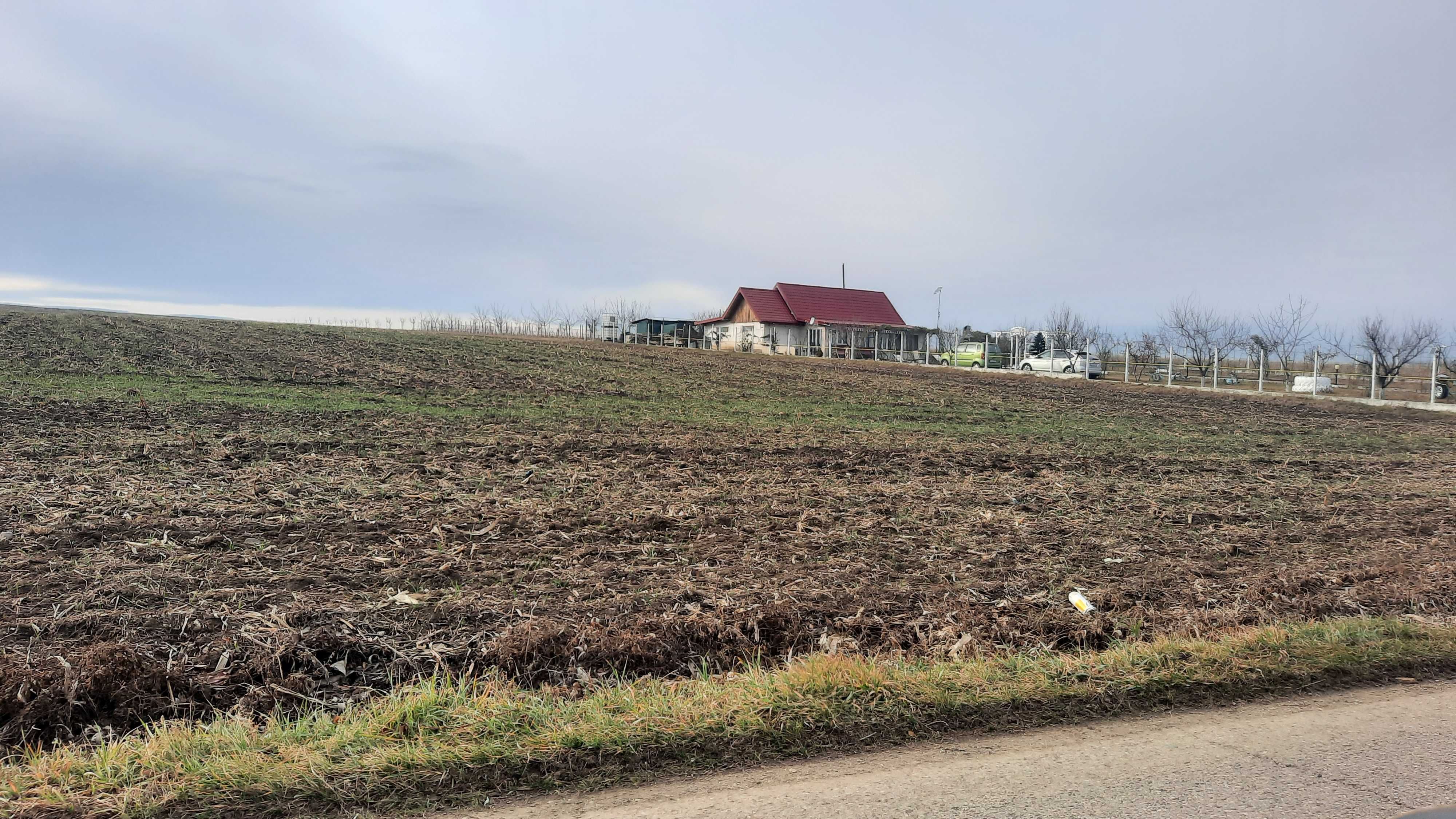 Teren in Bogdanesti-Vorovesti-Iasi