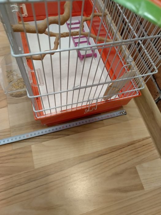 Colivie papagali talie medie