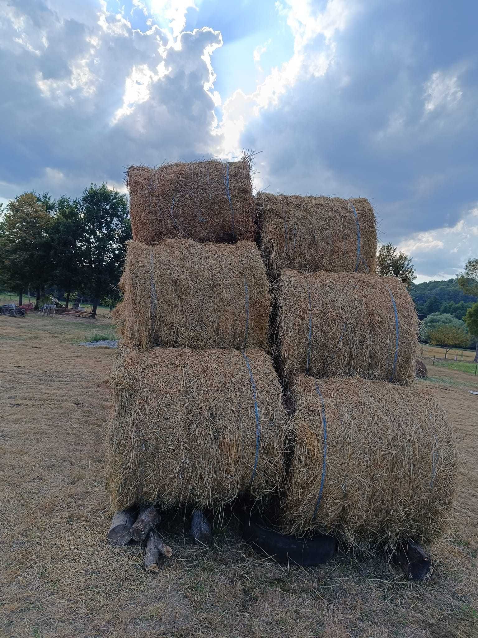 Vând baloți de fân