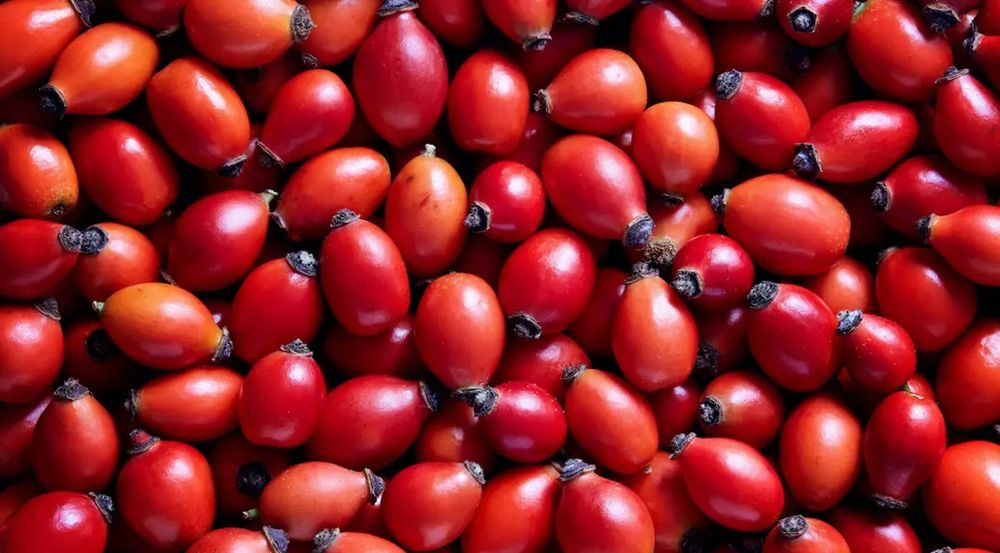 Maciese 6 ron proaspete