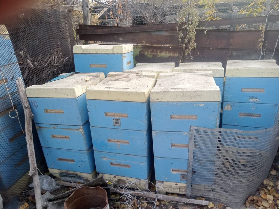 Улья ульи пчелиные для пчеловодства
