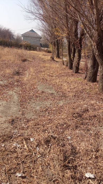 Ер сотилади Челак Шахар Янгиробод кишлогии