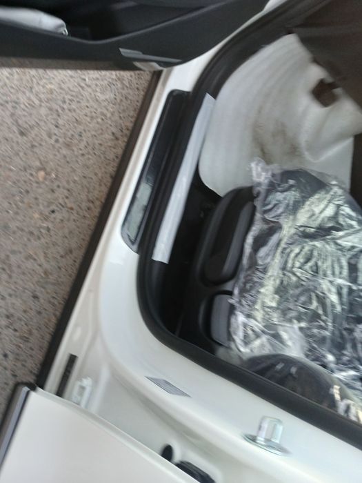 Панорама том, 2024 йилда олинган спортейж