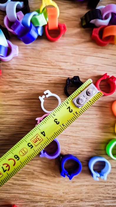 OFERTA Inele Clipsuri Colorate Pasari/ Cabluri/ Fire - 10 Culori