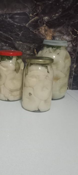 Продаю Грузди 1 литр 5000 тысяч,2-х литровый 1000 тысяч с Каркаралинск