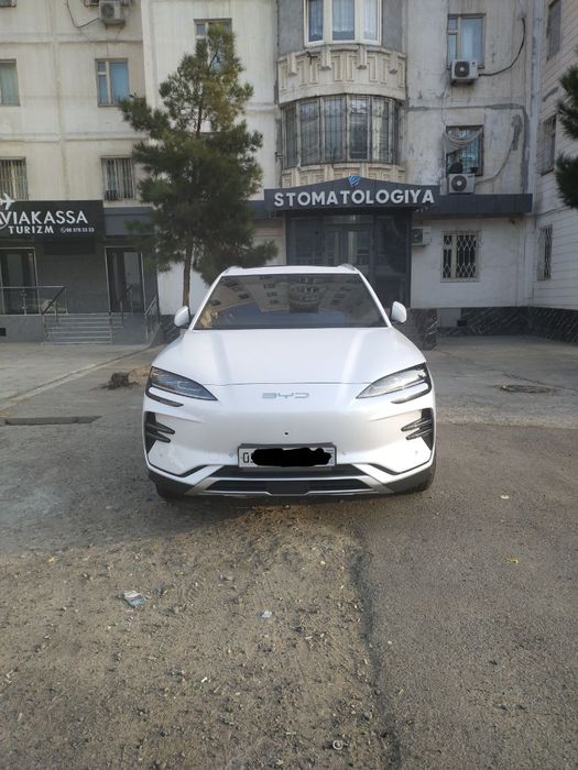 Byd song plus champion 2024