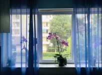PF dau spre închiriere ap 2 Camere, zona Intre Lacuri, Cluj