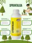 Sprintalga biolchim биостимулятор развитий корней