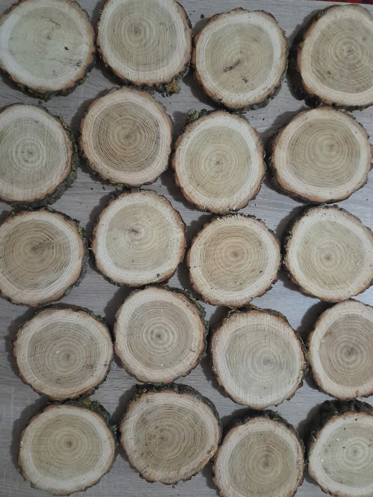 Set format din 20 de rondele din lemn de salcam, felii de lemn, wood