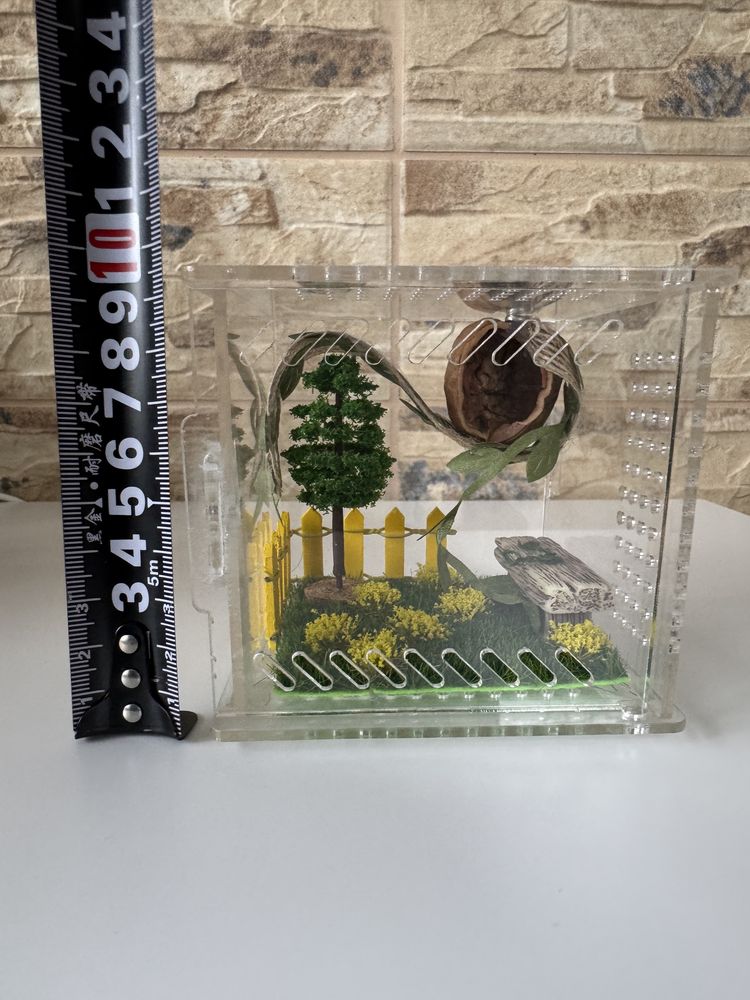 Small enclosure for insects or small reptile