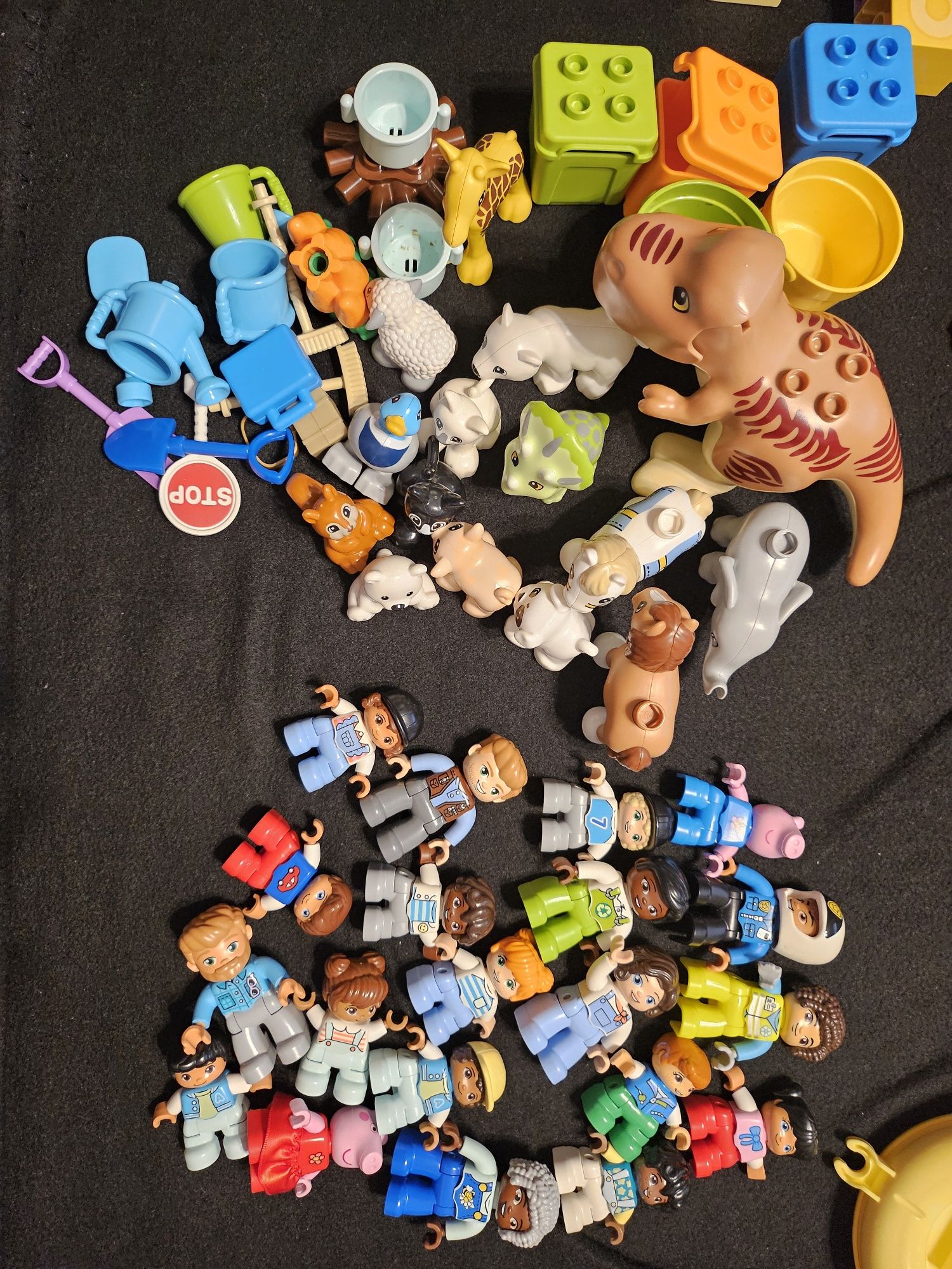 Lego Duplo      .