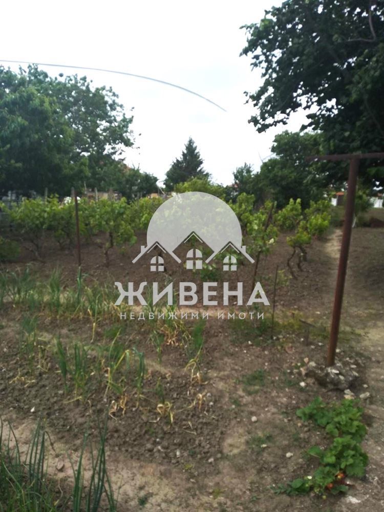 Продавам едноетажна къща - 80 кв.м, с.Паскалево, обл. Добрич
