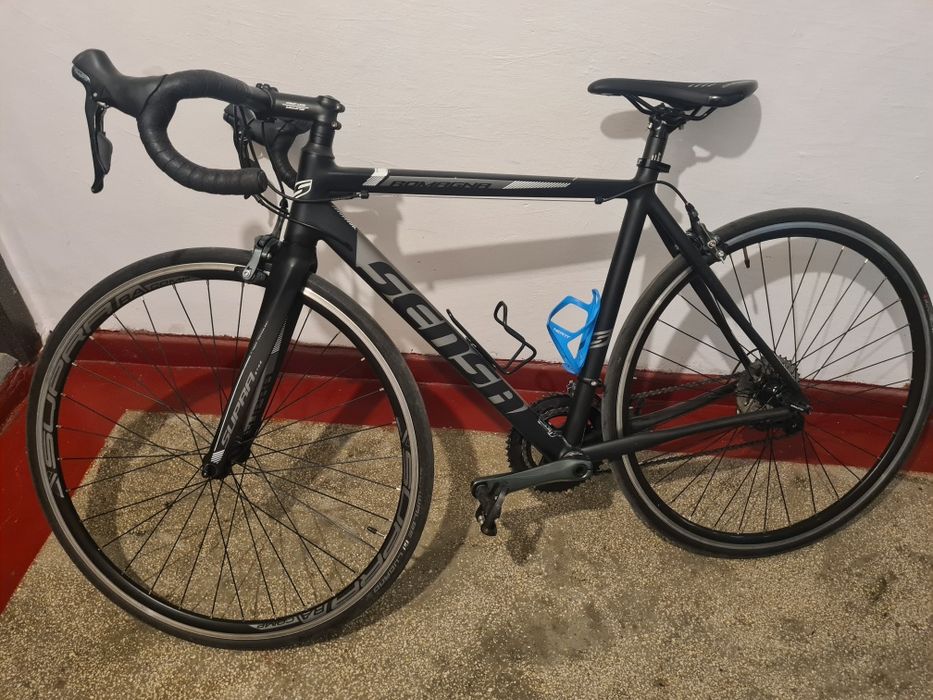 Cursiera Romagna sensa