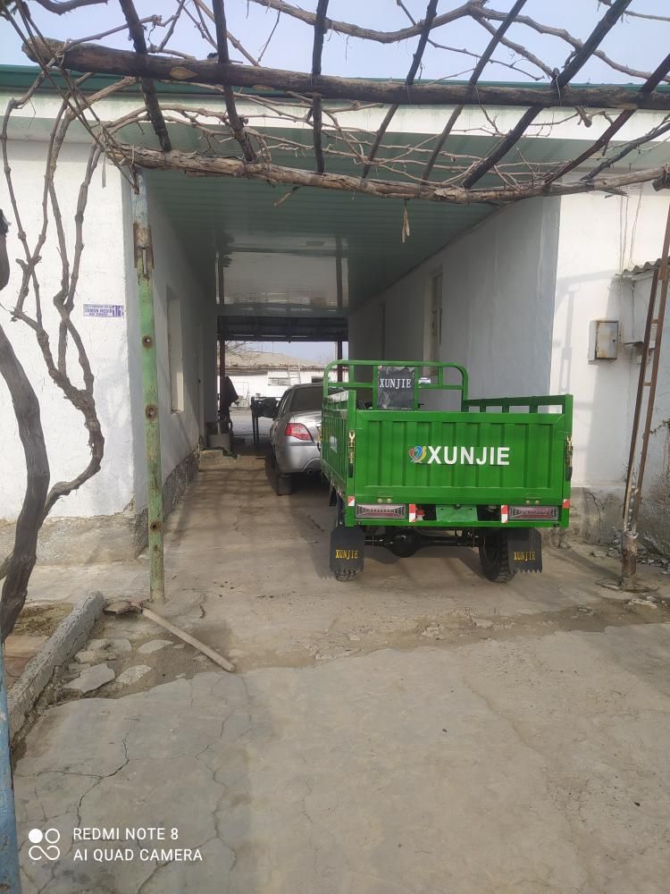 Xunjie  250 kup motor 2 tonnalik