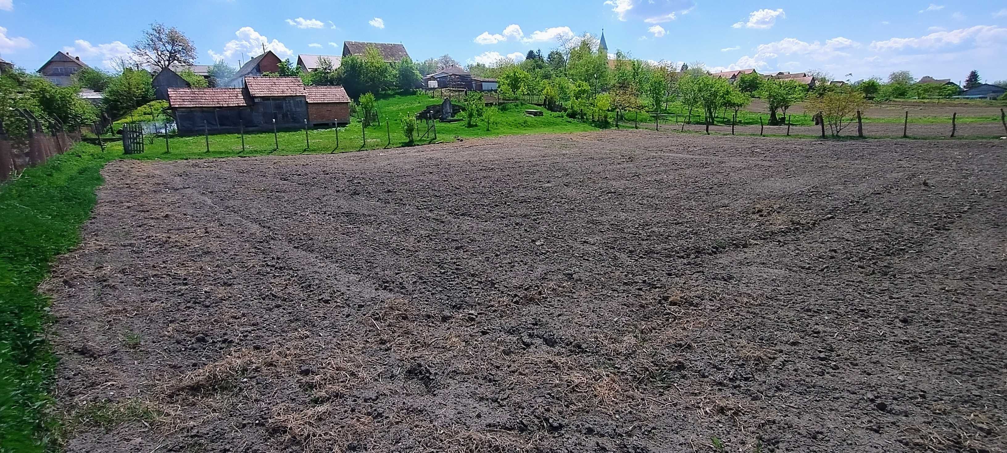 Casă  Târnăveni Seuca Teren 2500Mp