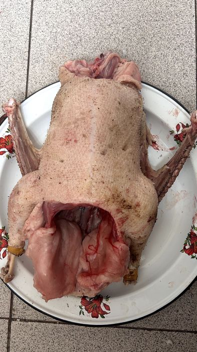 Ақтөбеде қаз сатылады. Продам Продам гусей к новогоднему столу