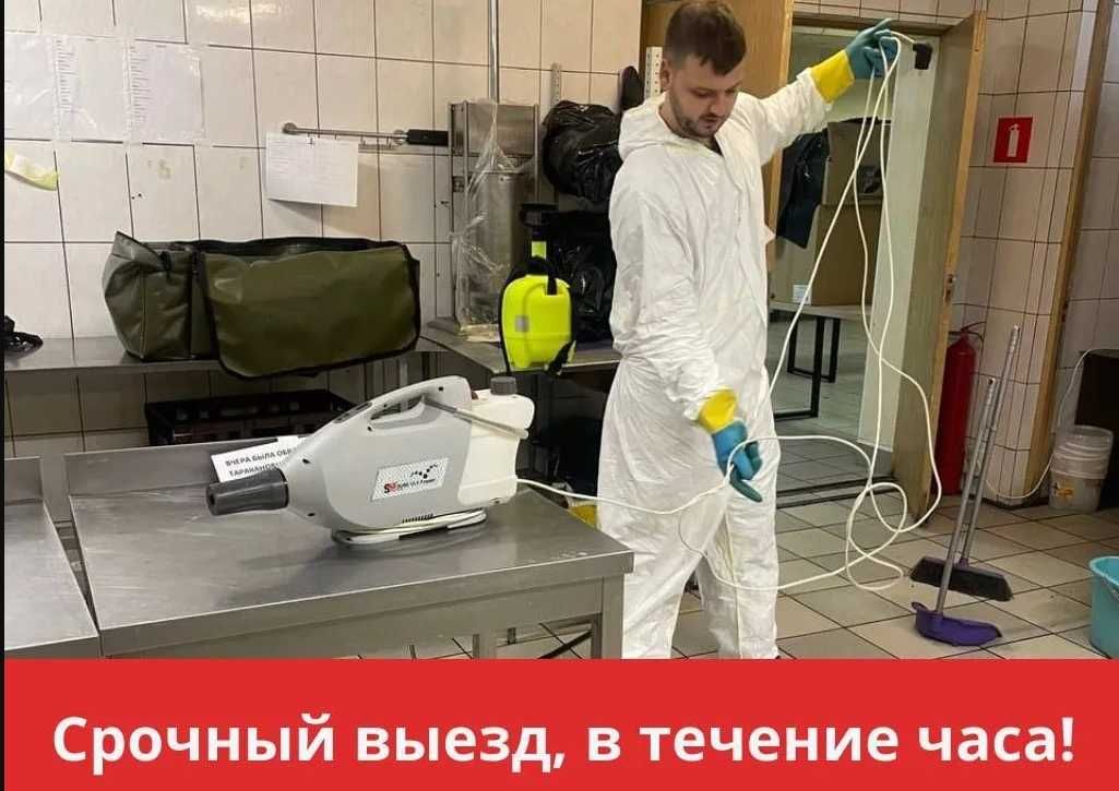 Dezinfeksiya xizmati Уничтожение тараканов и клопов. Результат 100%