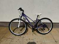 Bicicleta Terrana HT 29, Lady Geometry (damă) noua, negociabil