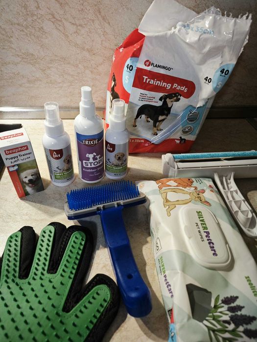 продавам кокер шпаньол – перфектно кутренце с пълен комплект!