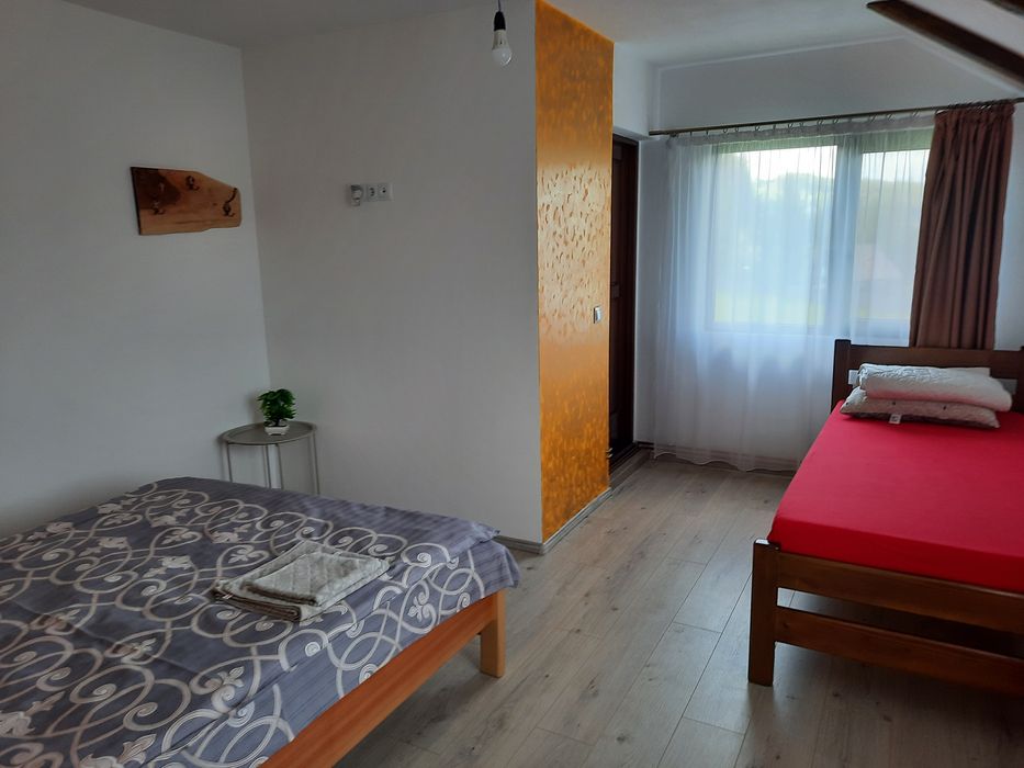 Vilă de închiriat cu ciubăr Colibita(Vila Andrei colibita "Facebook ")