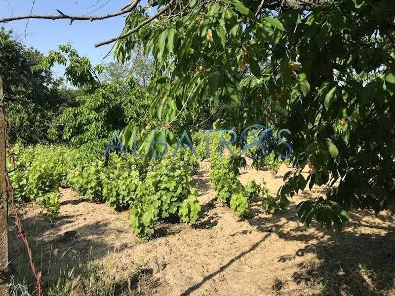 Продава се Парцел в Варна, м-т Боровец - север - 1050 кв.м за 30 €/кв.м - Снимка #2