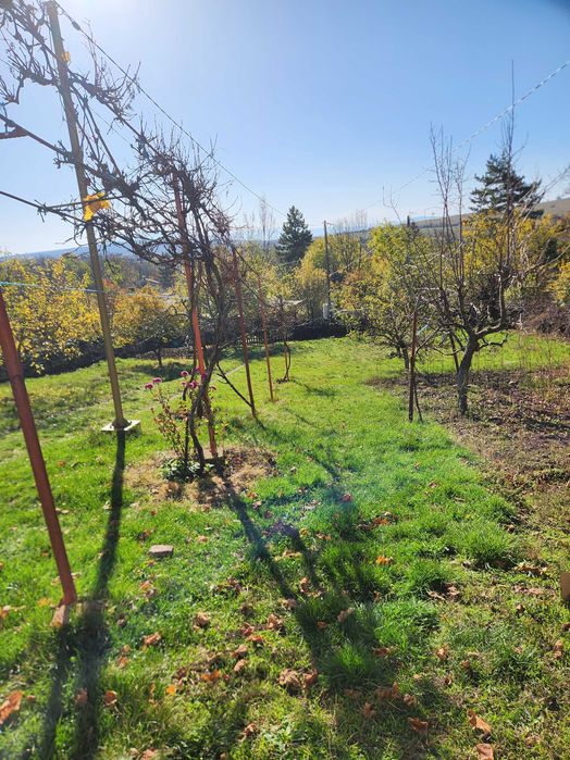 Почистване и Поддръжка на Дворове и Зелени Площи