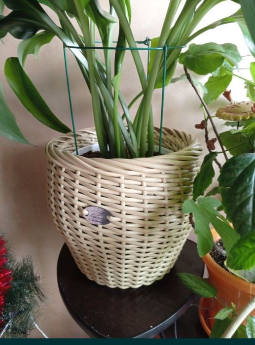 Кашпо из ротанга. Ручная работа