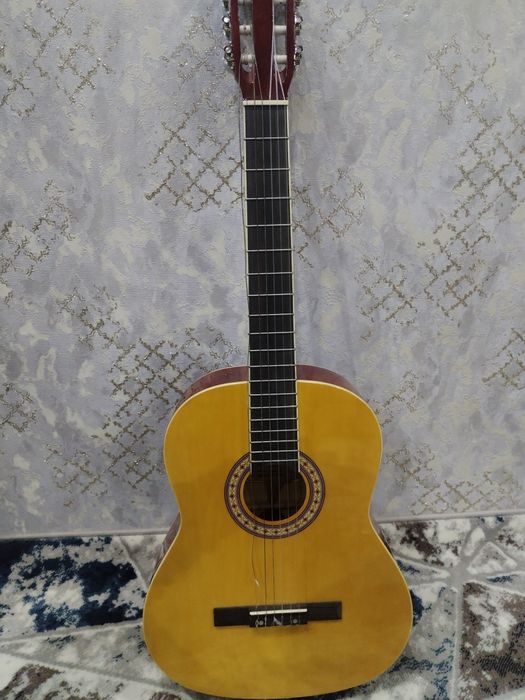 Gitara jildi bilan