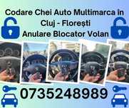 Deblocare uși Auto/Codare Chei Auto Multimarca/ Anulare Blocator Volan
