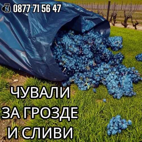 Чували за грозде и сливи найлонов чувал 60х90см 100 микрона полиетилен