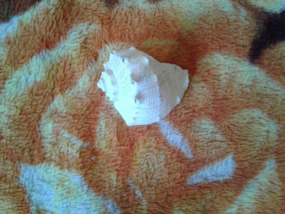 Продам или обмен