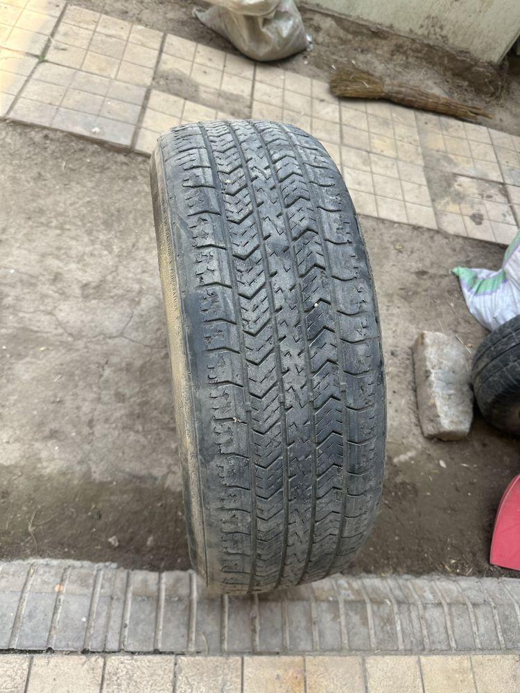 R14 205/65 cobalt qora diskasi bilan balon