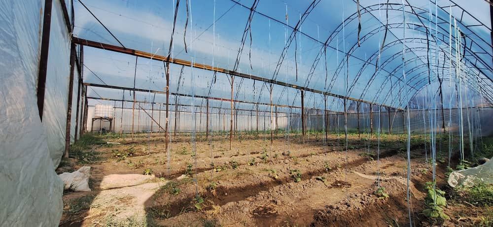 Продаётся просторный дом с теплицей и участком для хозяйства!