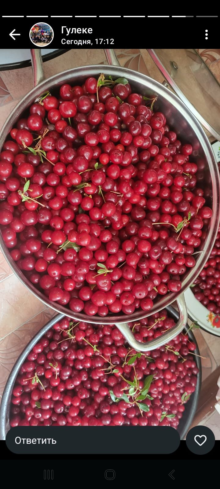 Продам вишню,  спелая