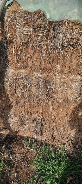 Vând baloti de paie