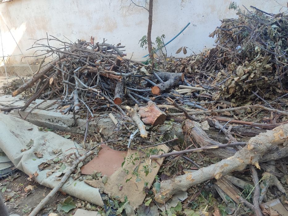 Utin sotiladi mevali daraxt..