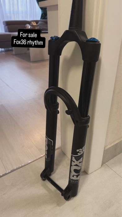 Furca Fox RHYTHM 36 29