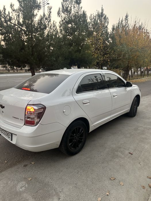 COBALT midningt 2025