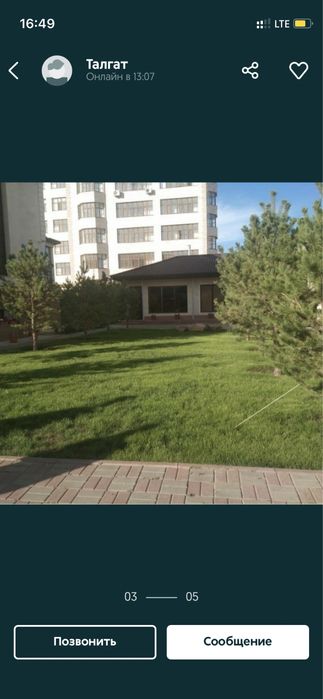 Газон посевной