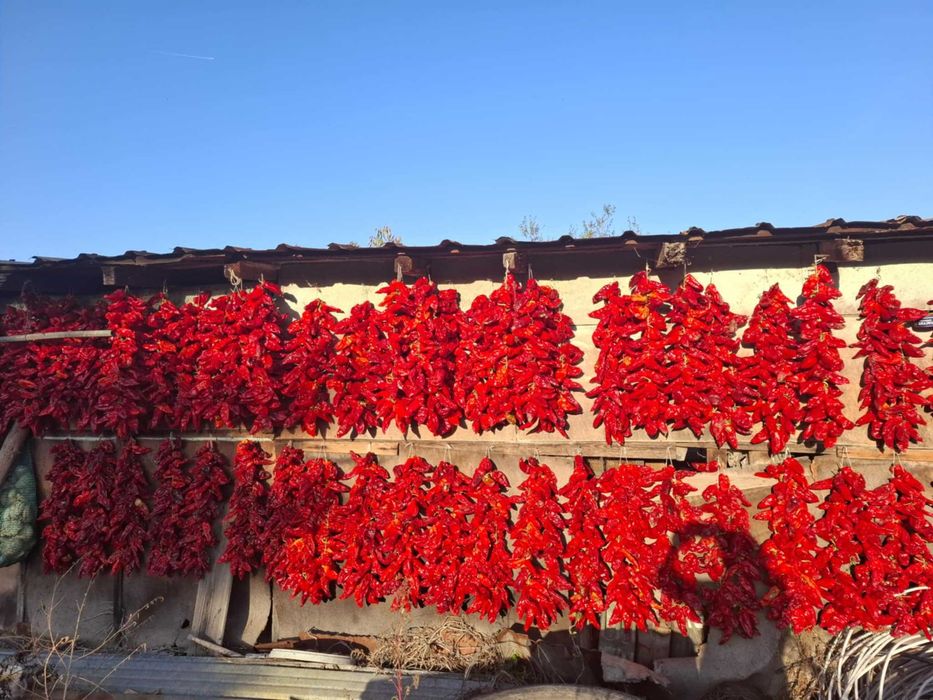 Сушени червени чушки – естествено изсушени