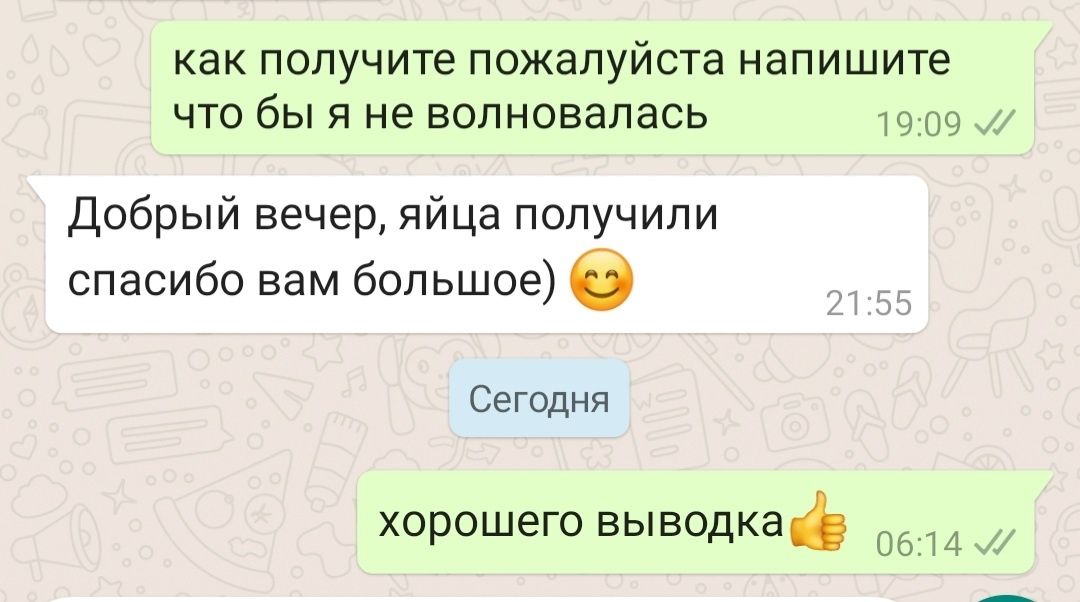 Яйцо инкубационное перепела.