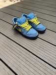 Nike x powerpuff girls dunk sb “bubbles “