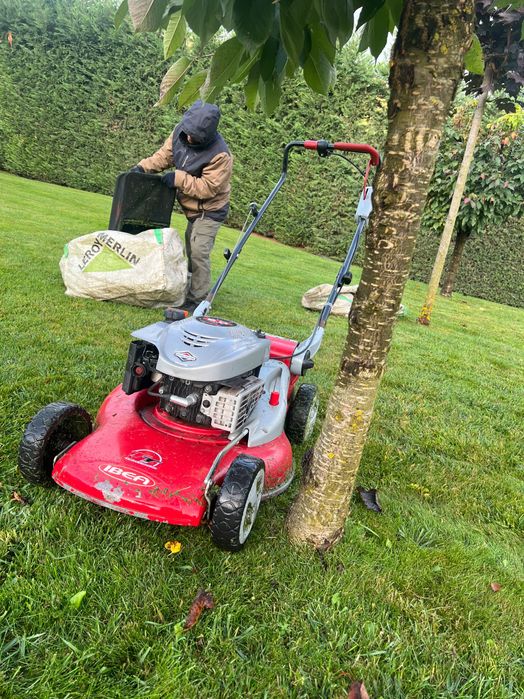 Mașină de tuns gazonul profesională IBEA