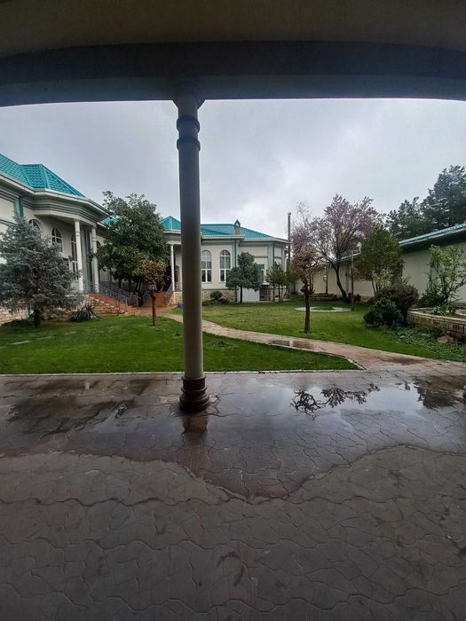 Пушкин  метро   под  клиника   офис