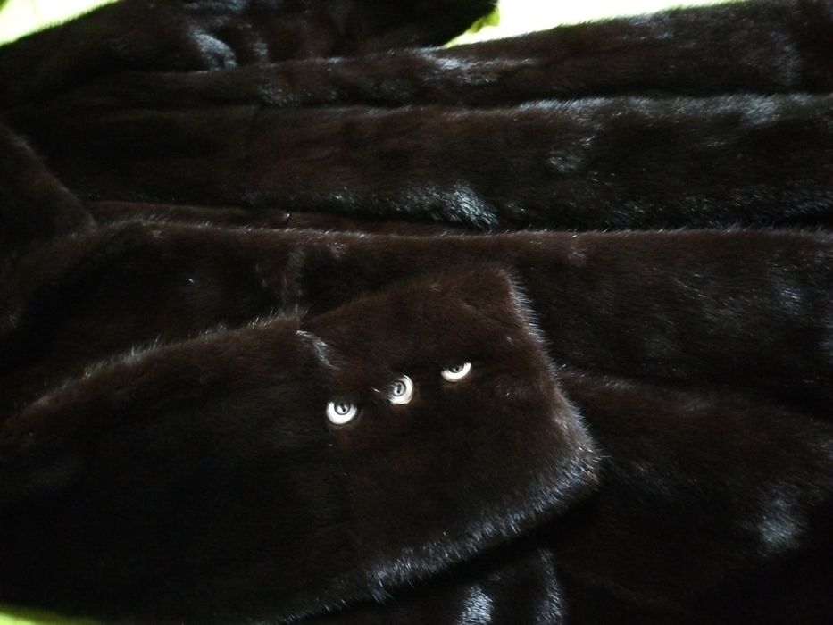 Vând haina de blană naturală