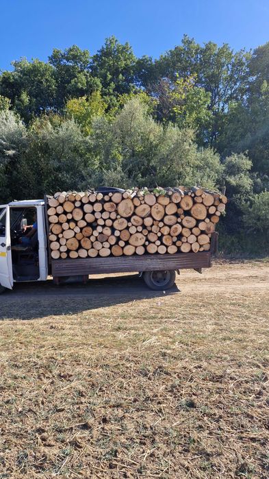 Lemn de foc esenta tare carpen frasin si stejar si esenta moale tei