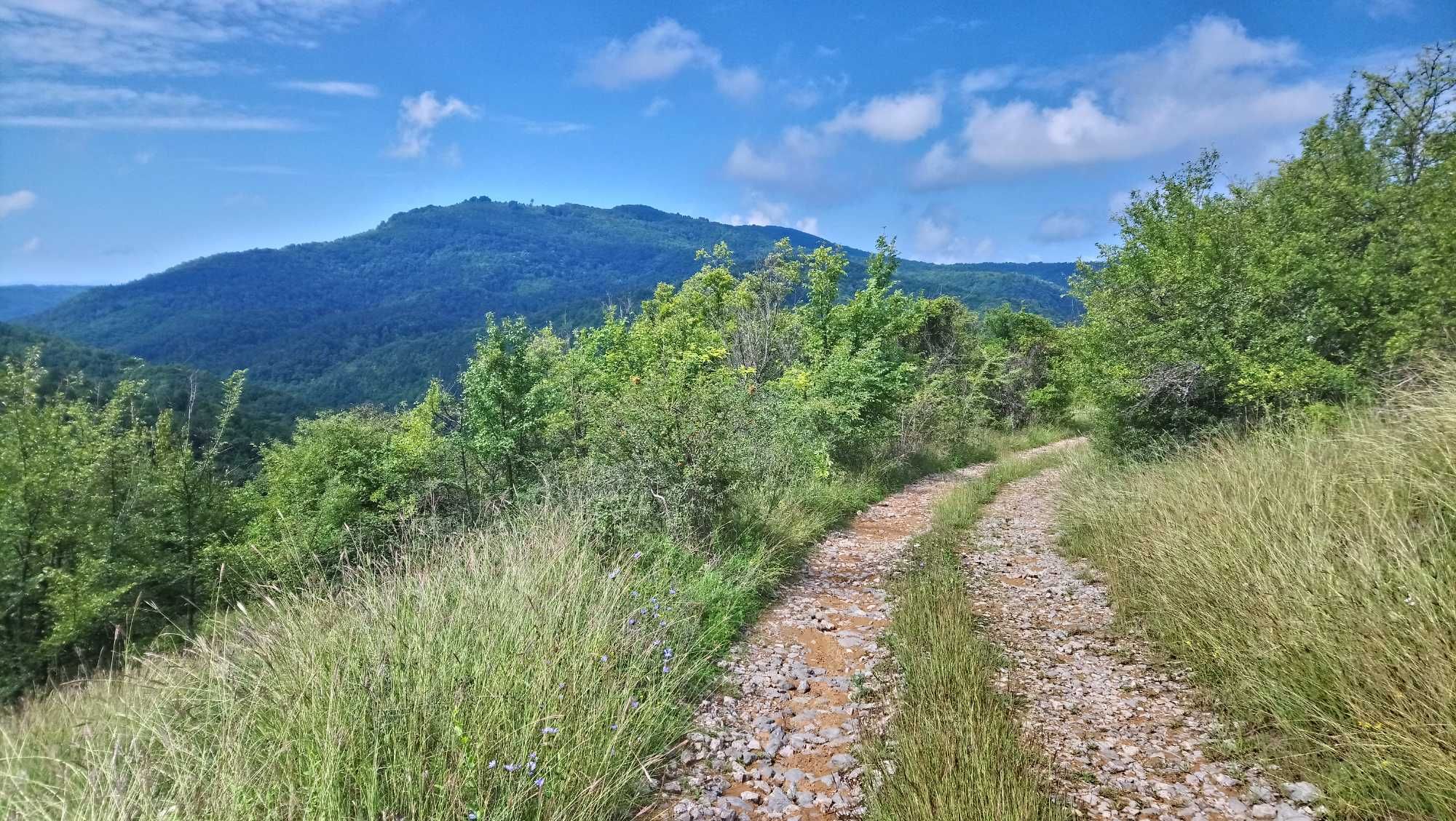 масивна къщa в Еленския балкан в село Тънки Рът.