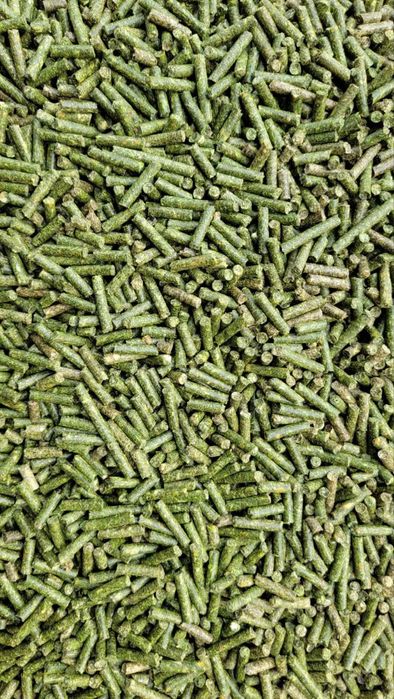 Корм для морских свинок, хомяков и грызунов