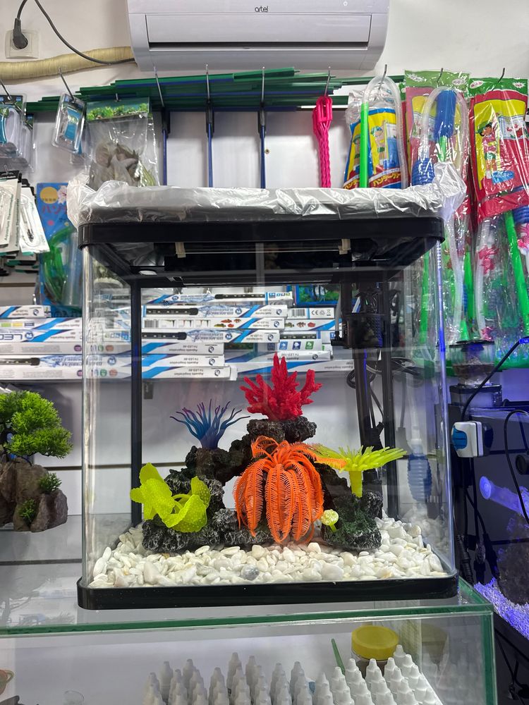 Akvarium magazin Mirobod va Sergili